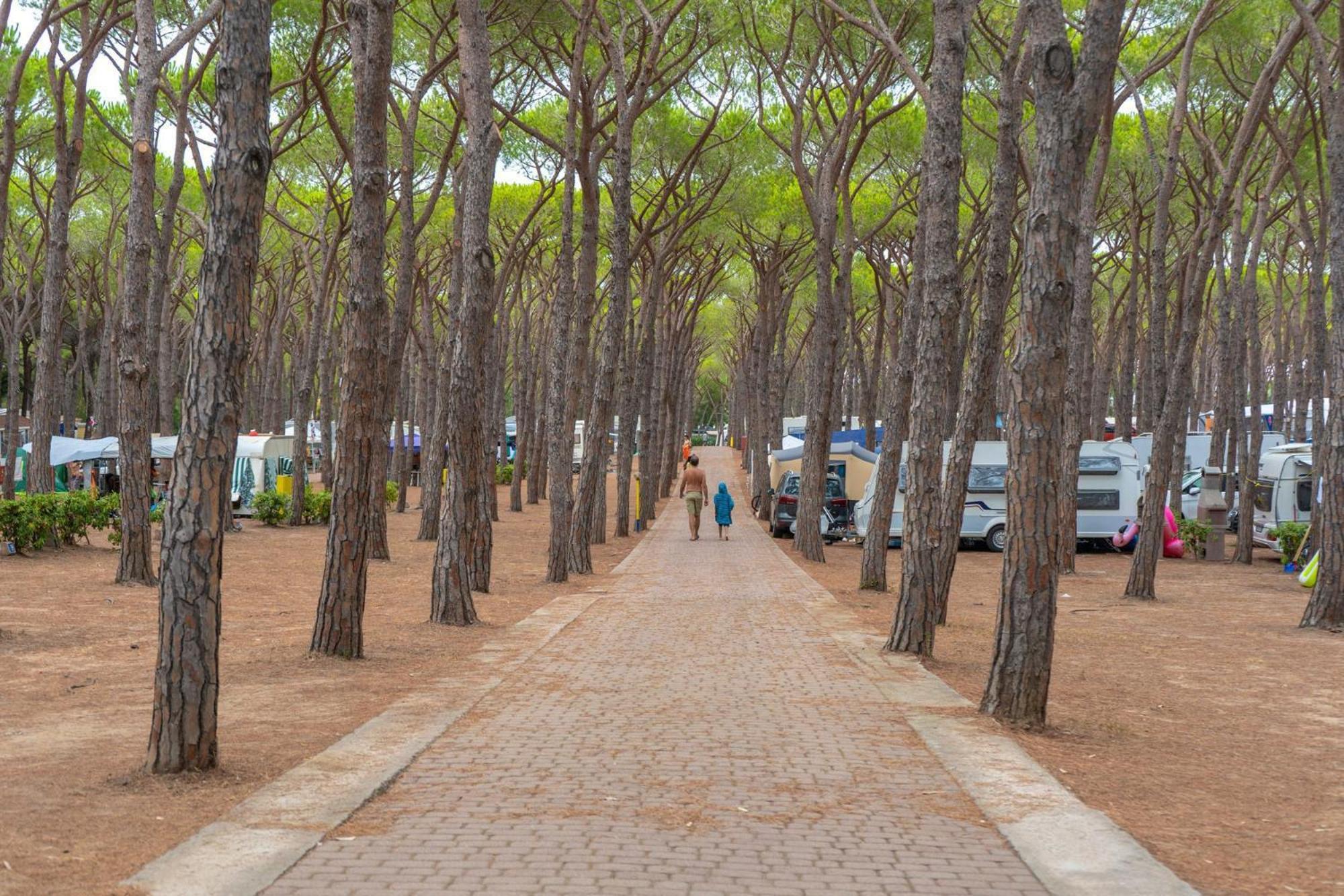 Camping Village Baia Blu La Tortuga Aglientu Extérieur photo